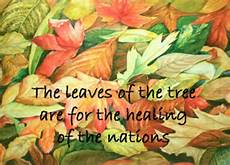 Rev 22 leaves of tree