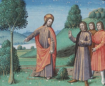 Luke13-6 fig tree, medieval