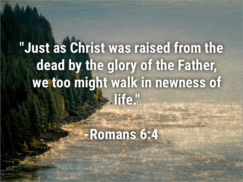 Rom 6-4 nwness of life